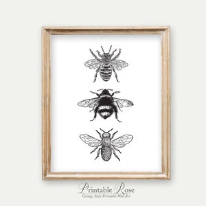 Bee Decor, printable, bee decorations, bee print, bee wall art, bee wall decor, art prints, wall art prints, vintage, wall art printable image 3