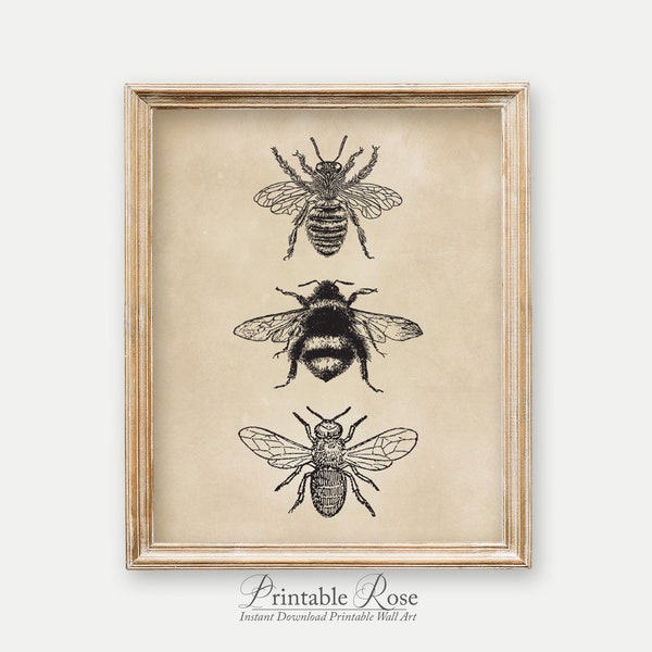 French Country Decor, wall art printable, bee decor, vintage wall art, bee print, gallery wall decor, french country, wall decor, prints