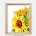 Sunflower Wall Decor Wall Art Printable Flower Decor - Etsy