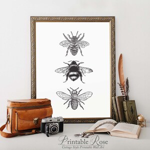 Bee Decor, printable, bee decorations, bee print, bee wall art, bee wall decor, art prints, wall art prints, vintage, wall art printable image 10