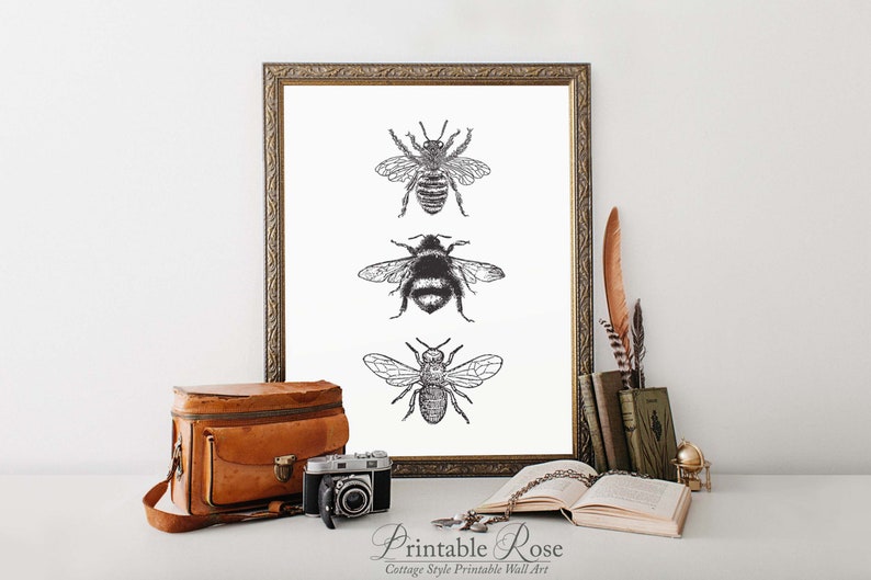 Bee Decor, printable, bee decorations, bee print, bee wall art, bee wall decor, art prints, wall art prints, vintage, wall art printable image 10