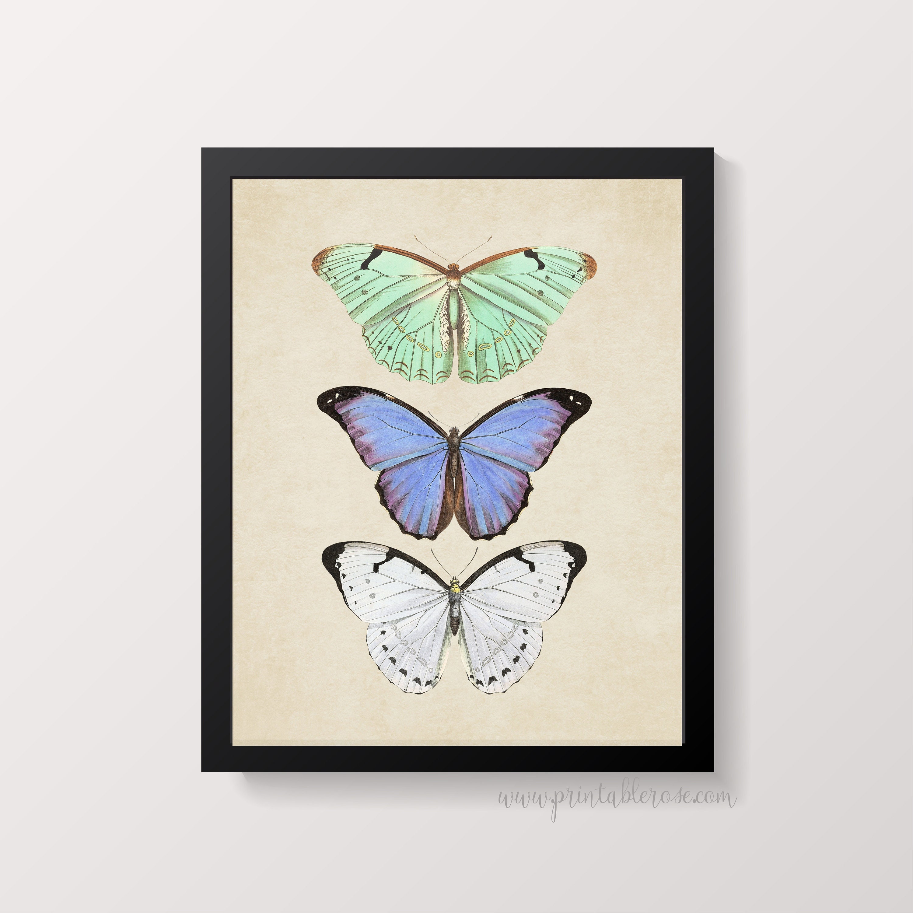 Butterfly Wall Art Printable Wall Art Butterfly Art - Etsy