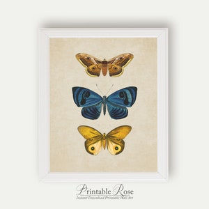 Vintage Butterfly Print, printable vintage wall art, blue home decor, blue wall art, bathroom wall decor, vintage home decor image 4