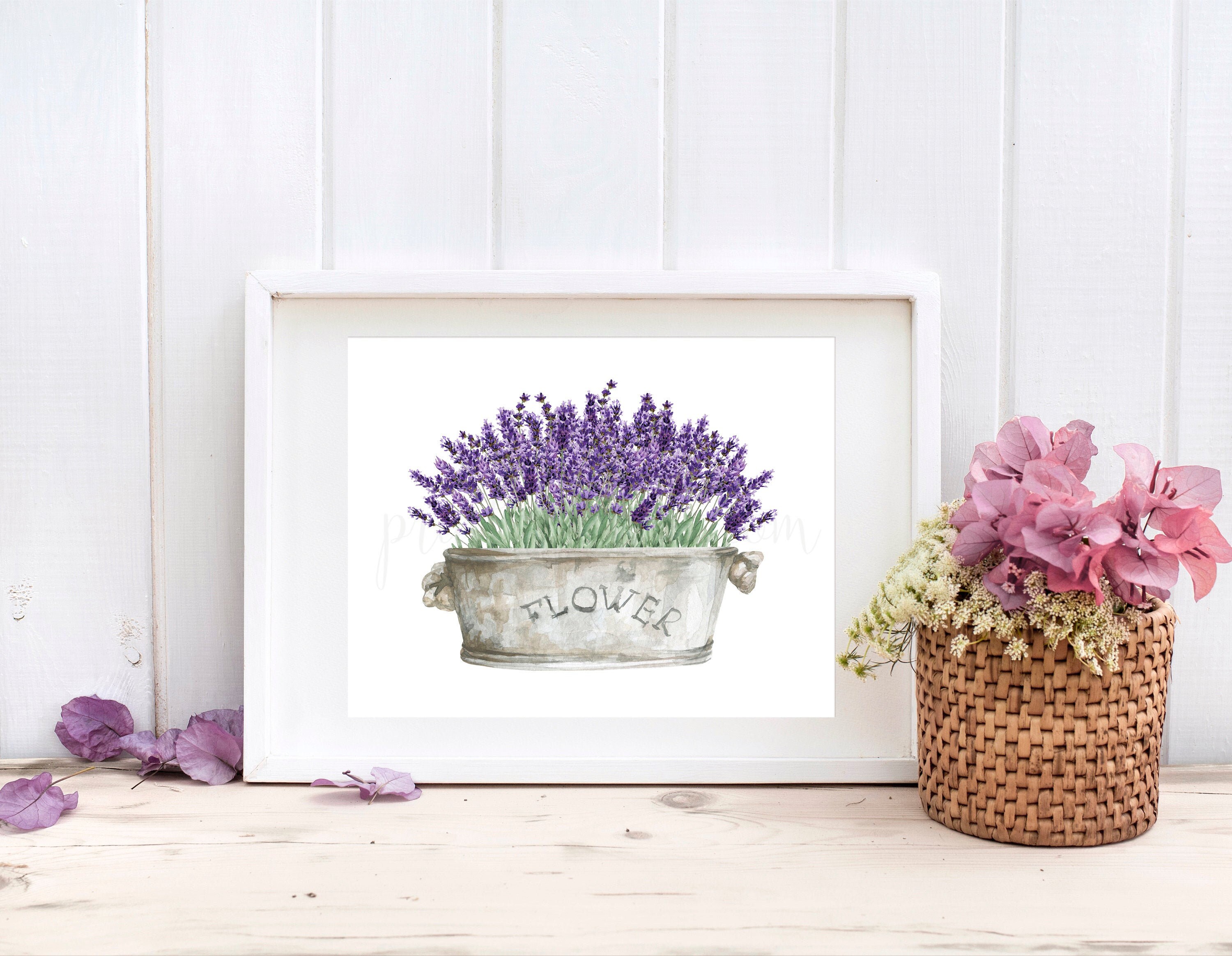 Lavender Printable Lavender Decor Lavender Print Wall Art Etsy Israel