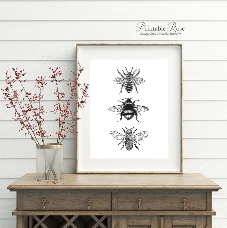 Bee Decor, printable, bee decorations, bee print, bee wall art, bee wall decor, art prints, wall art prints, vintage, wall art printable image 1