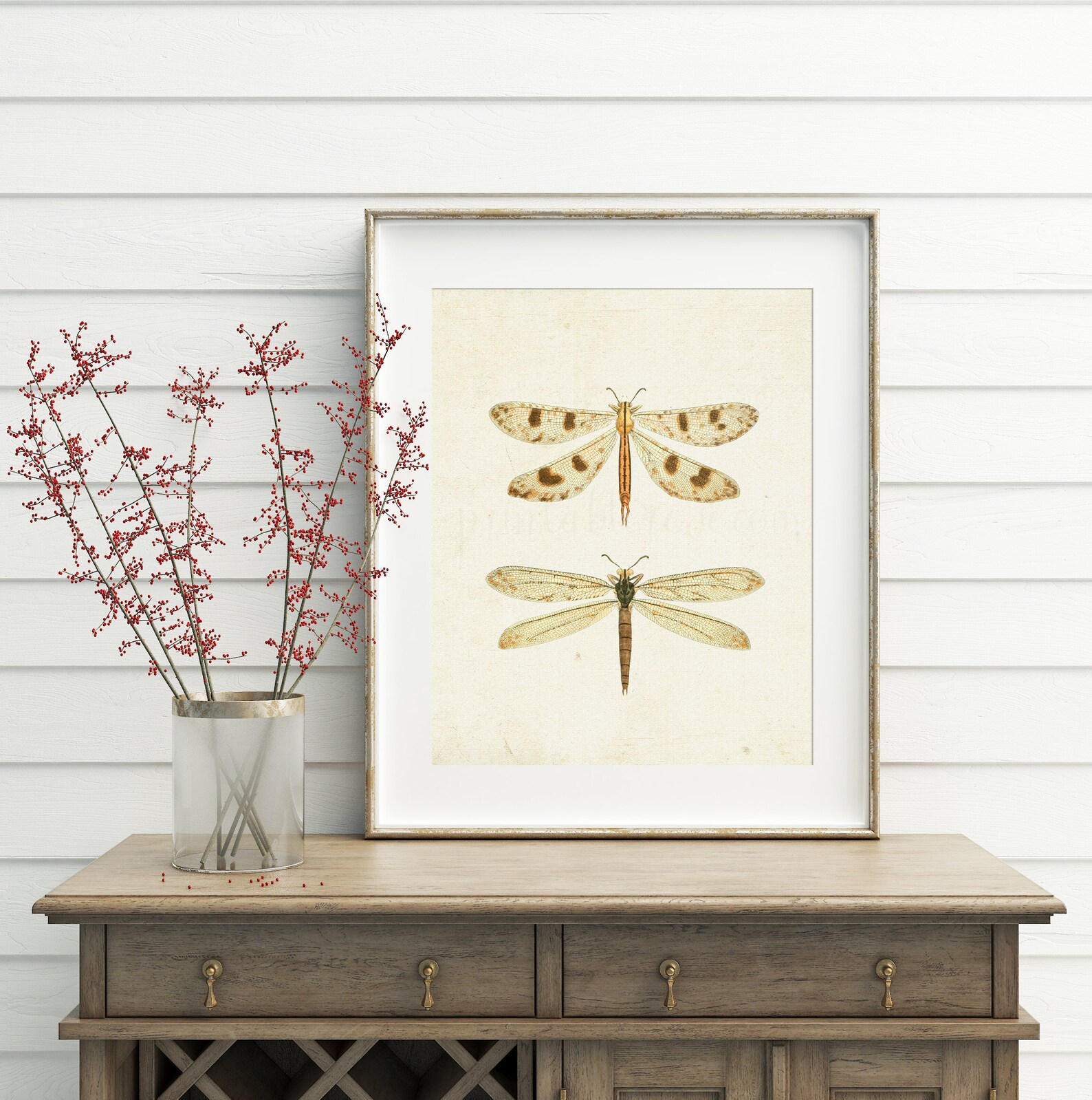 Vintage Dragonfly Picture Dragonfly Printable Vintage Wall - Etsy