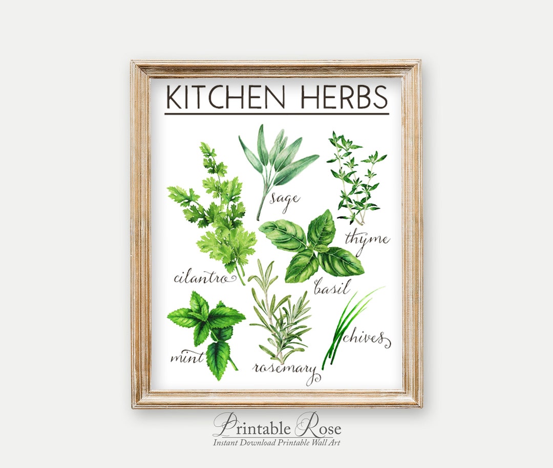 Herb Wall Art, Kitchen Wall Decor, Printable Herbs, Kitchen Decor