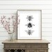Bee Decor, printable, bee decorations, bee print, bee wall art, bee wall decor, art prints, wall art prints, vintage, wall art printable