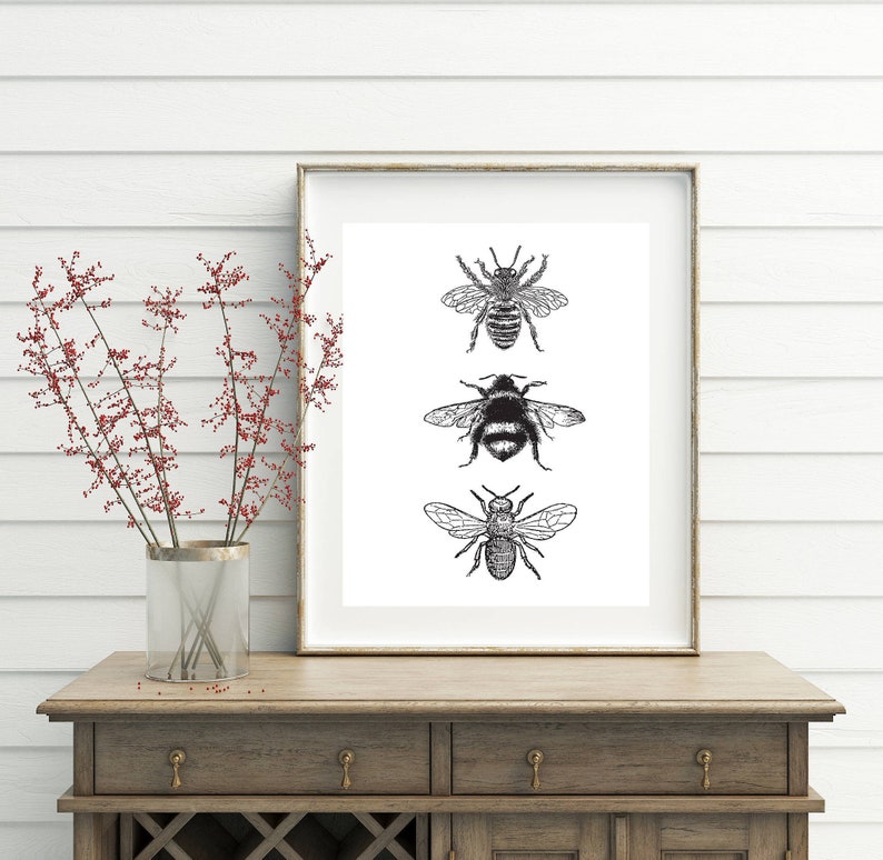 Bee Decor, printable, bee decorations, bee print, bee wall art, bee wall decor, art prints, wall art prints, vintage, wall art printable 