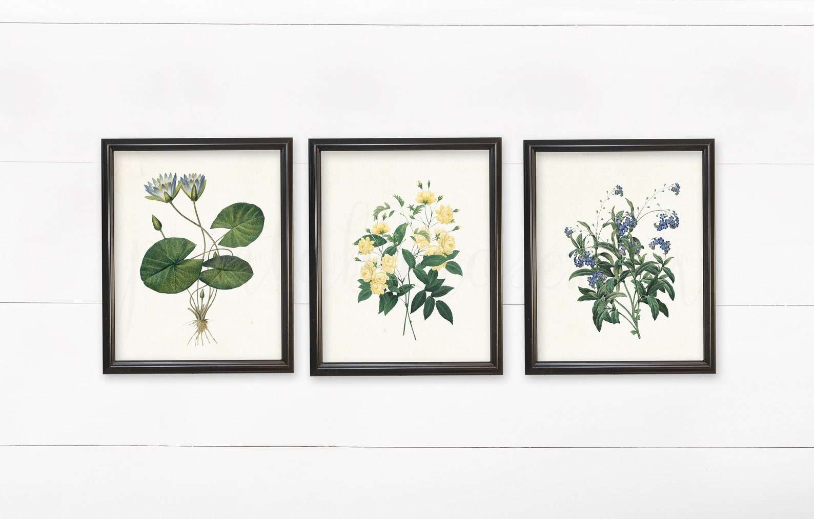 Set of 4 Vintage Botanical Printables Vintage Wall Art Wall - Etsy