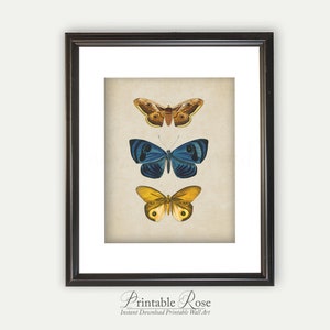 Vintage Butterfly Print, printable vintage wall art, blue home decor, blue wall art, bathroom wall decor, vintage home decor image 5