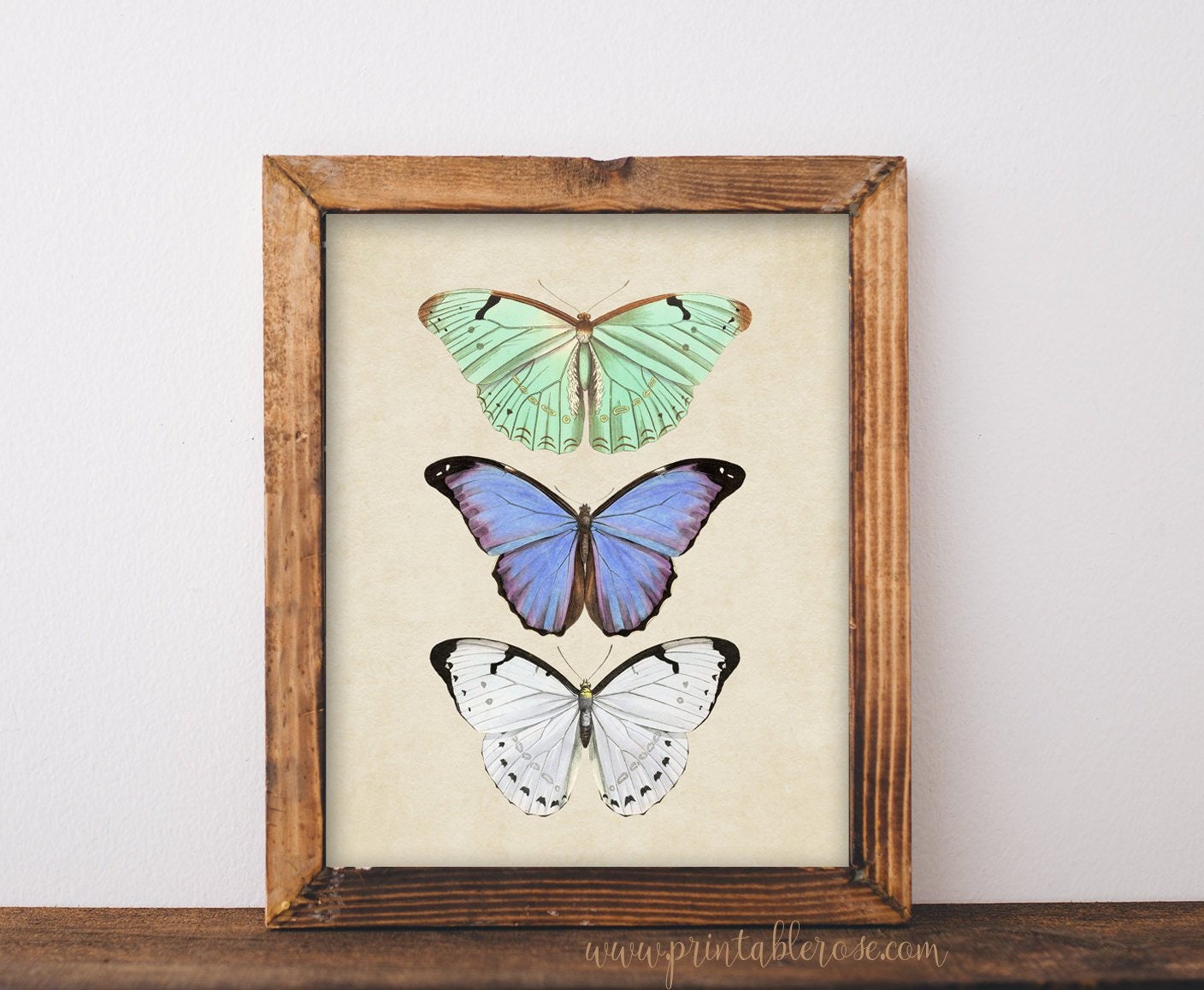 Butterfly Wall Art Printable Wall Art Butterfly Art | Etsy