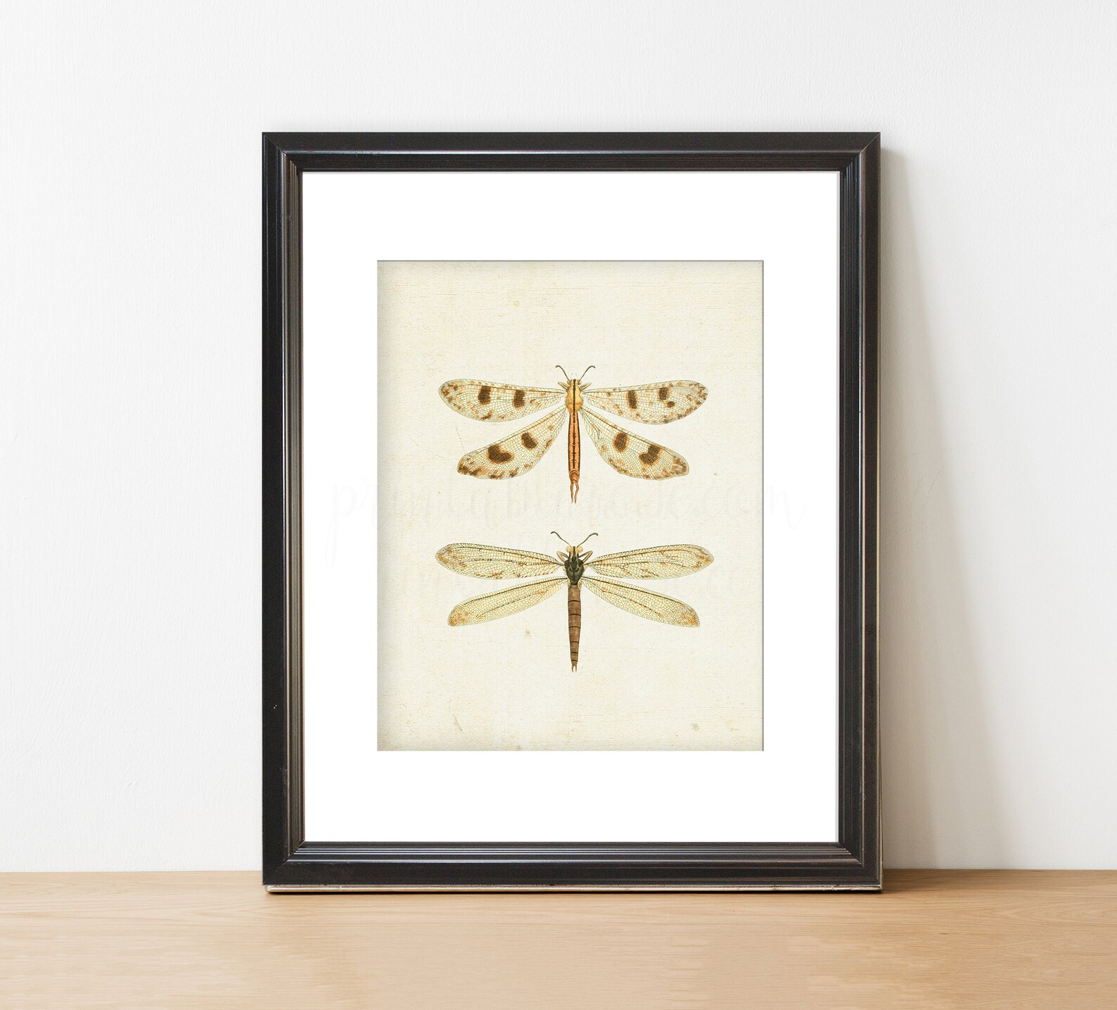 Vintage Dragonfly Picture Dragonfly Printable Vintage Wall - Etsy