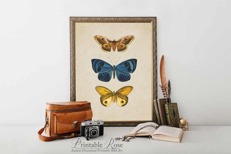 Vintage Butterfly Print, printable vintage wall art, blue home decor, blue wall art, bathroom wall decor, vintage home decor image 1