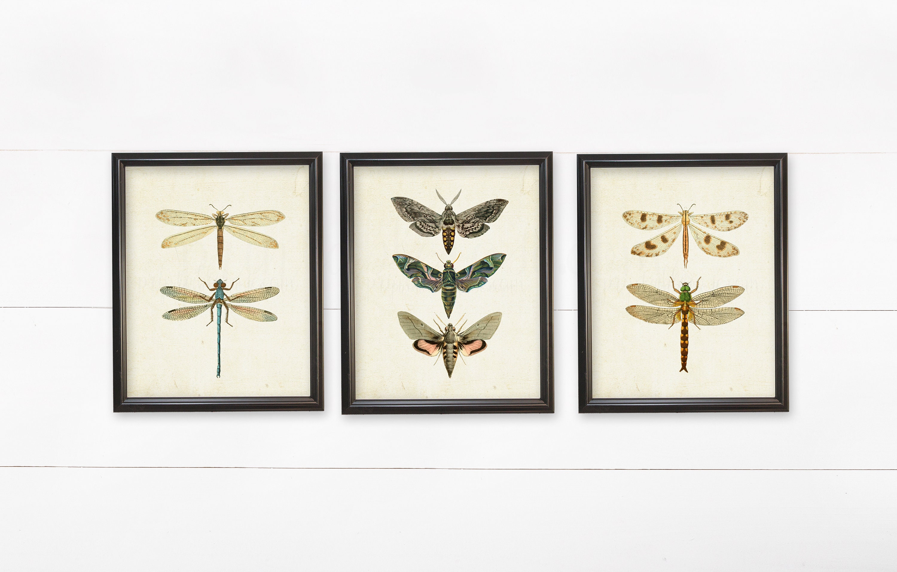 Set of 3 Wall Art Set of 3 Wall Prints Wall Decor Wall Etsy