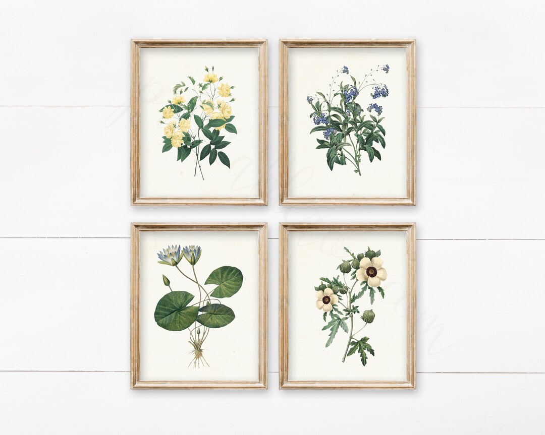 Set of 4 Vintage Botanical Printables Vintage Wall Art Wall - Etsy