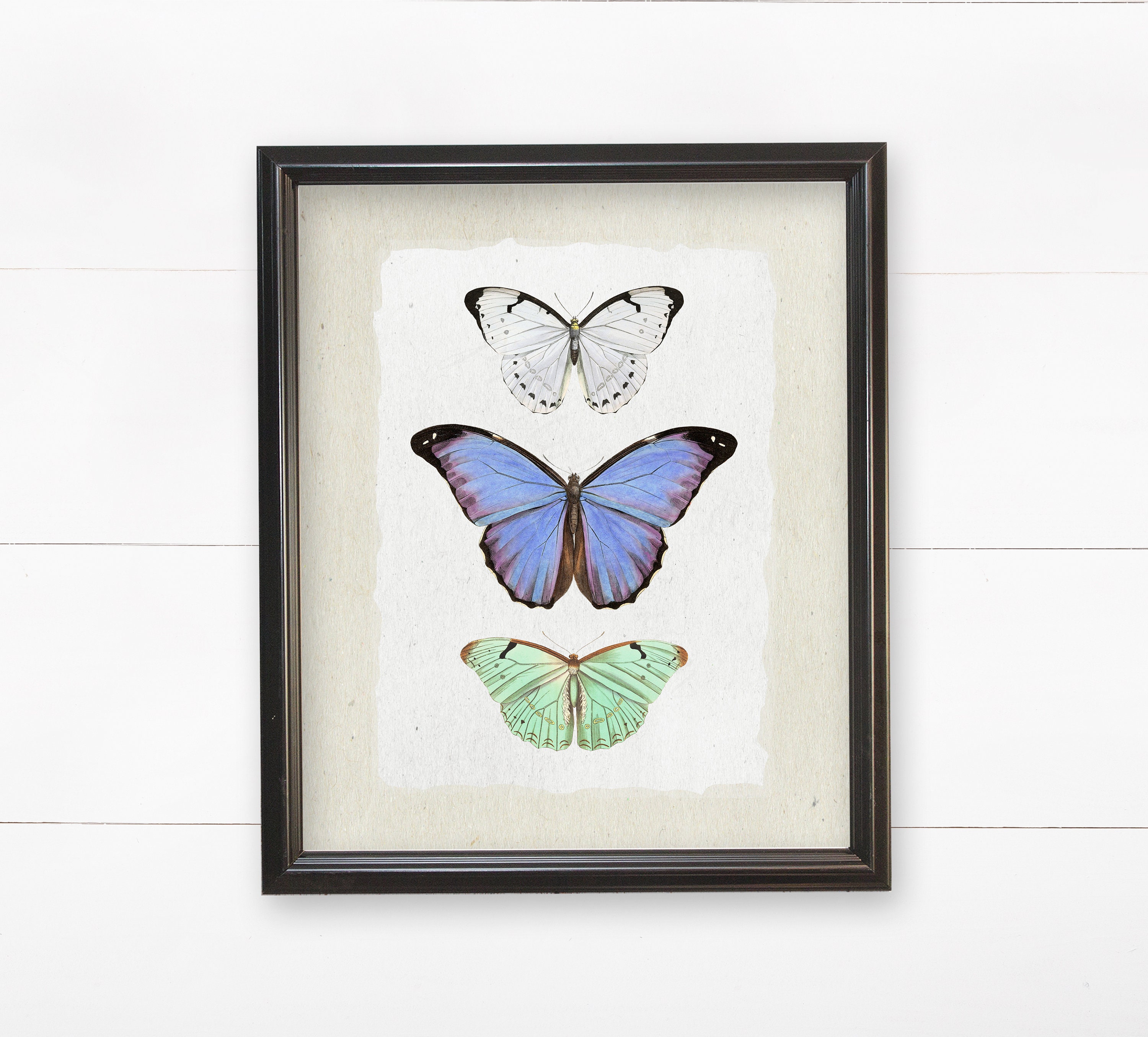 Butterfly Wall Art Printable Wall Art Butterfly Print | Etsy