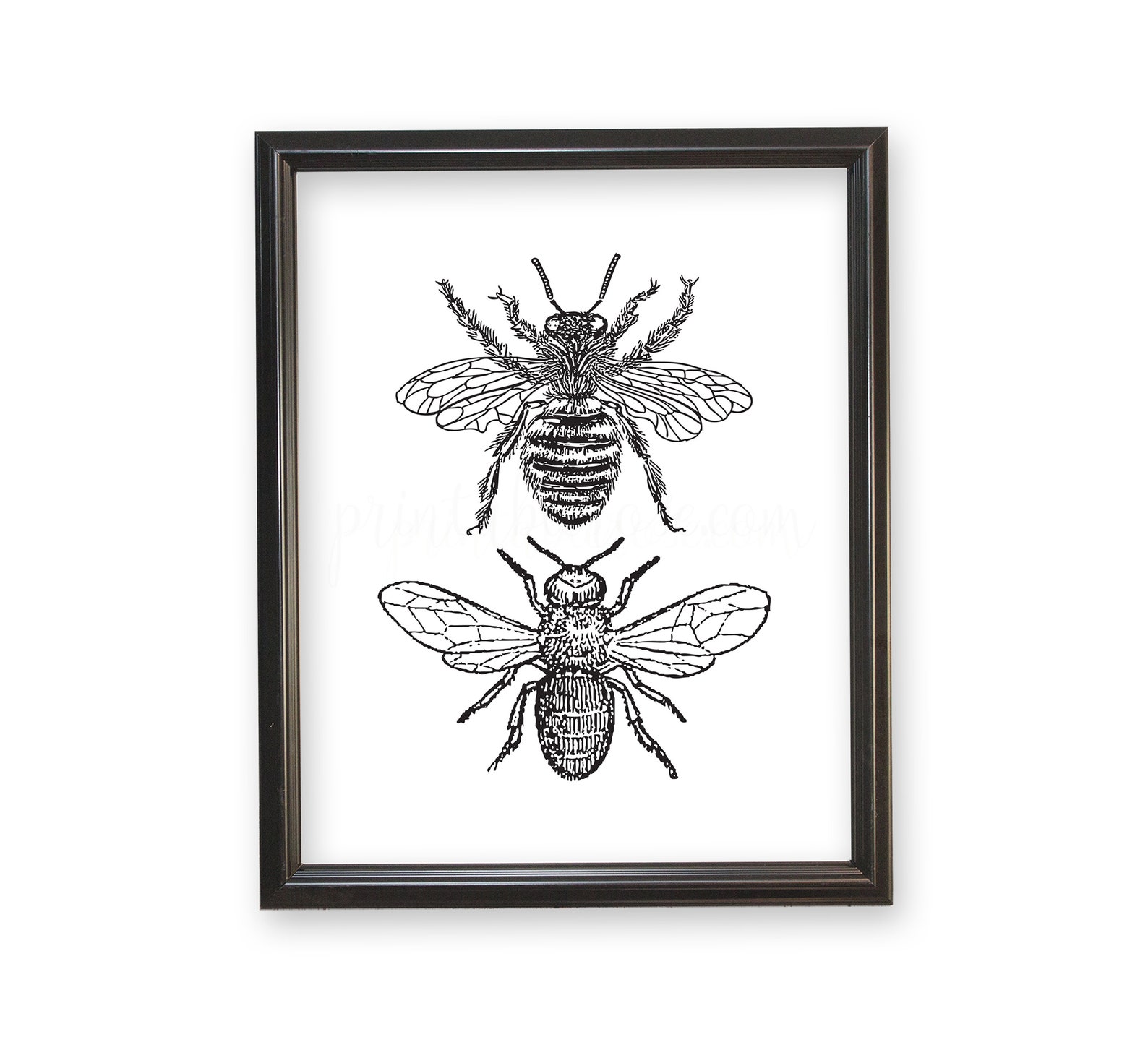 Bee Decor Printable Bee Decorations Bee Print Bee Wall Etsy