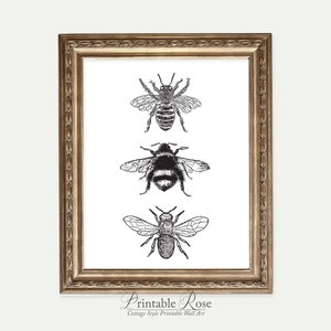 Bee Decor, printable, bee decorations, bee print, bee wall art, bee wall decor, art prints, wall art prints, vintage, wall art printable image 5