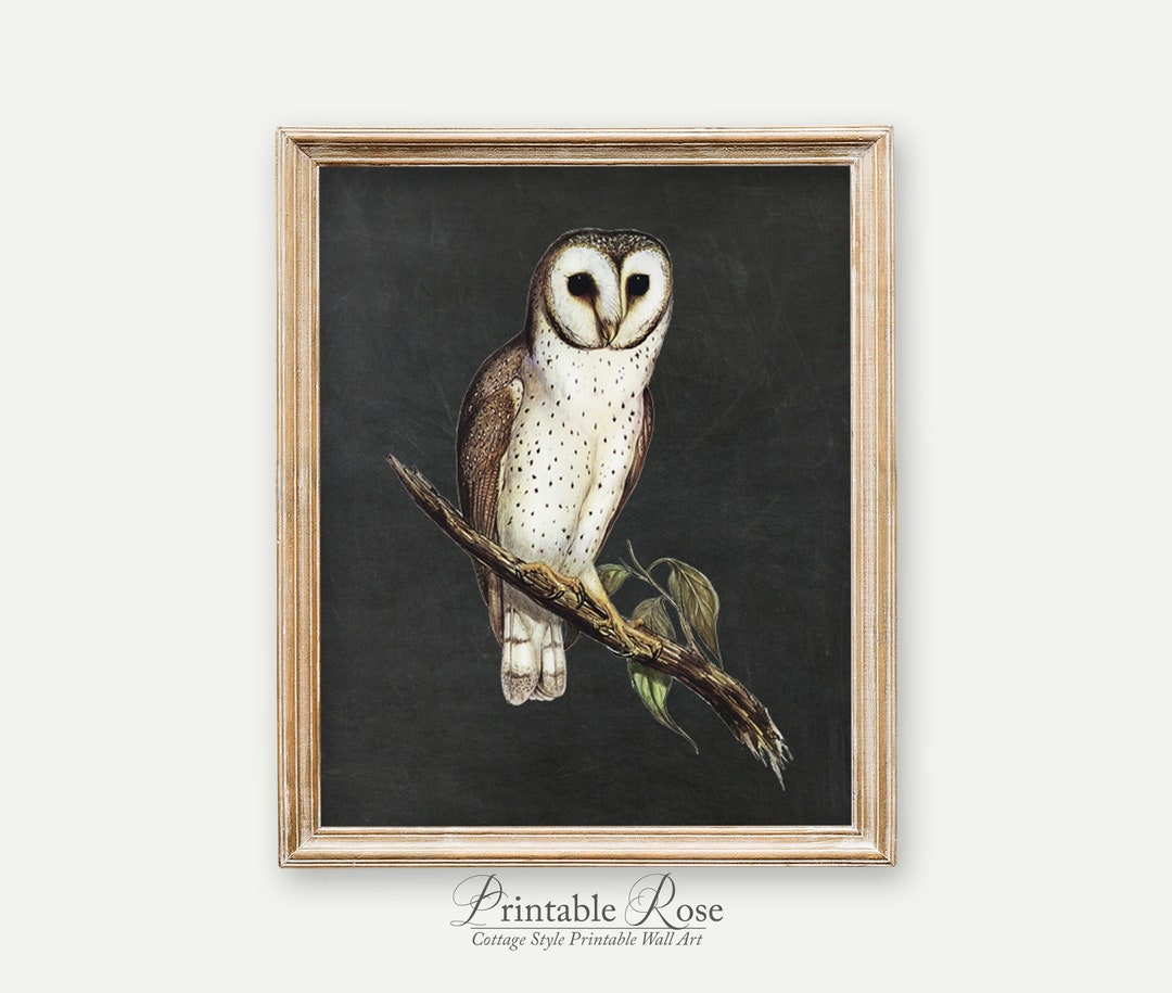 Vintage Owl Print Nature Printables Vintage Wall Decor Etsy