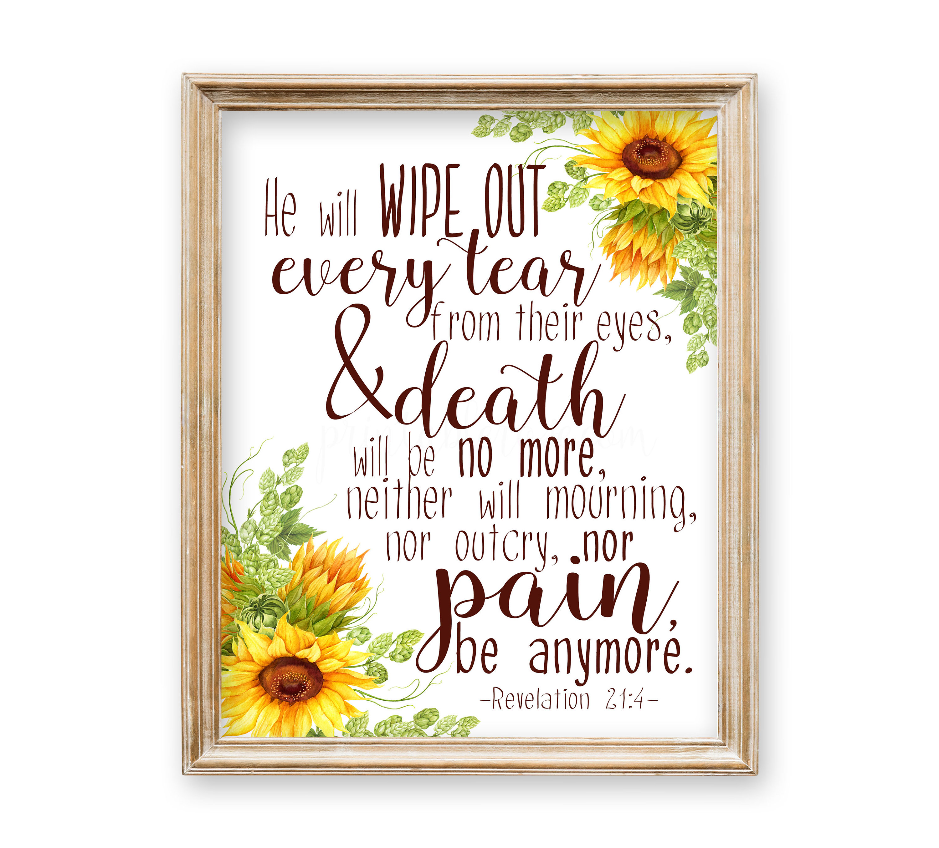 Uncover Life'S Meaning: A Revelation! - nz5o6y7