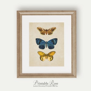 Vintage Butterfly Print, printable vintage wall art, blue home decor, blue wall art, bathroom wall decor, vintage home decor image 8