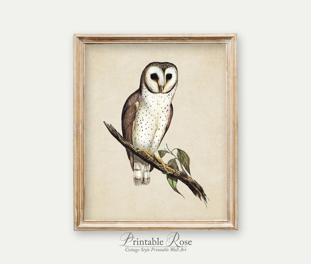 Vintage Owl Print Nature Printables Vintage Wall Decor Etsy