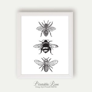 Bee Decor, printable, bee decorations, bee print, bee wall art, bee wall decor, art prints, wall art prints, vintage, wall art printable image 8