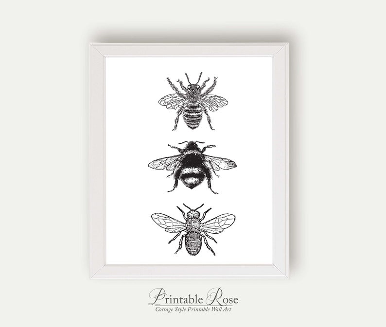 Bee Decor, printable, bee decorations, bee print, bee wall art, bee wall decor, art prints, wall art prints, vintage, wall art printable image 8