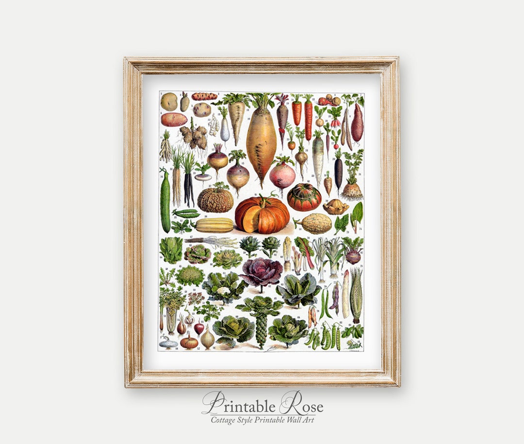 Vintage Vegetable Wall Decor Print Kitchen Wall Art Etsy