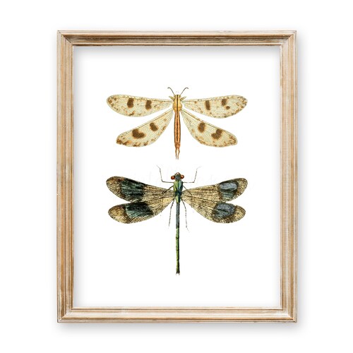 Dragonfly Wall Art Dragonfly Gifts Home Decor Printable Etsy