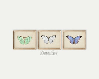 Set of 3 Prints, butterfly wall decor, bathroom wall art, vintage butterflies, vintage art prints, wall art butterflies, girls room decor