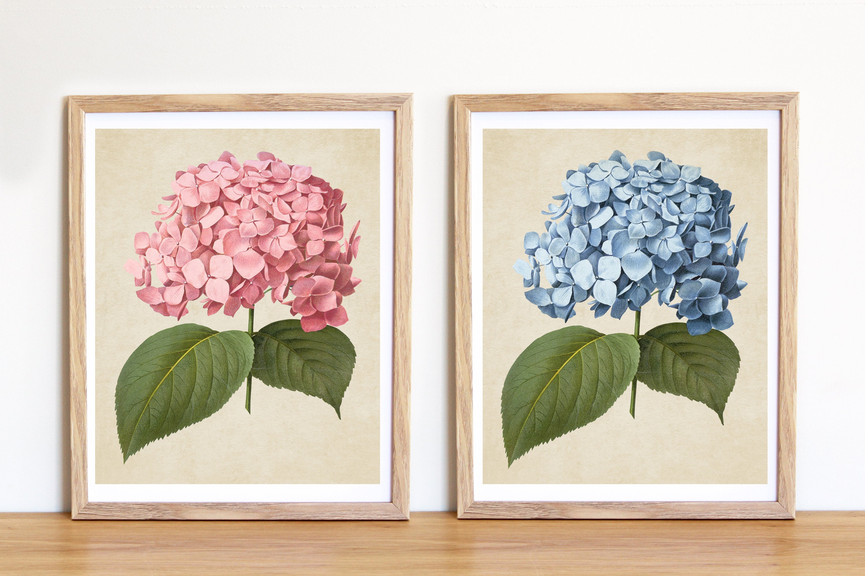 Art & Collectibles Digital Prints hydrangea prints wall decor set of 2