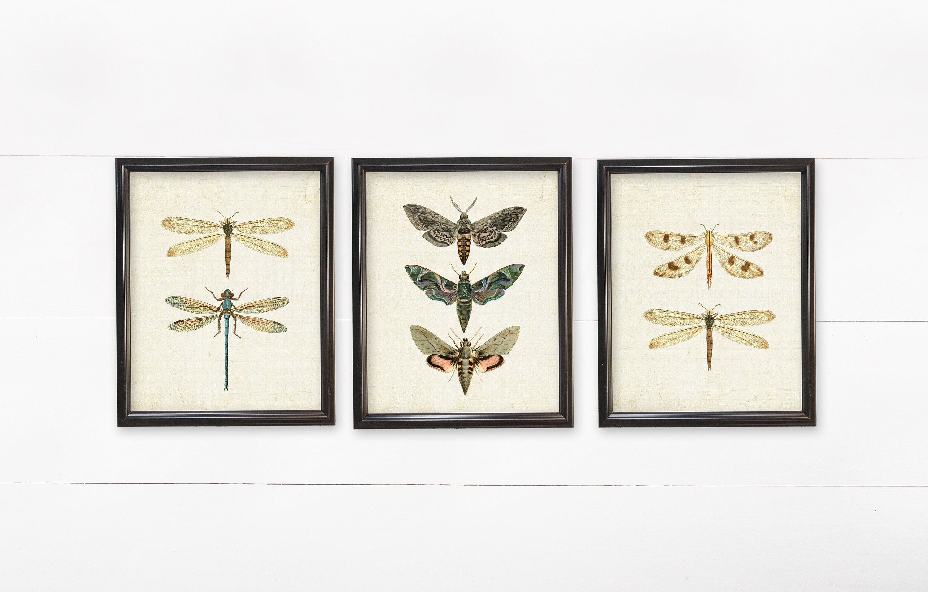 Set of 3 Wall Art Set of 3 Wall Prints Wall Decor Wall Etsy