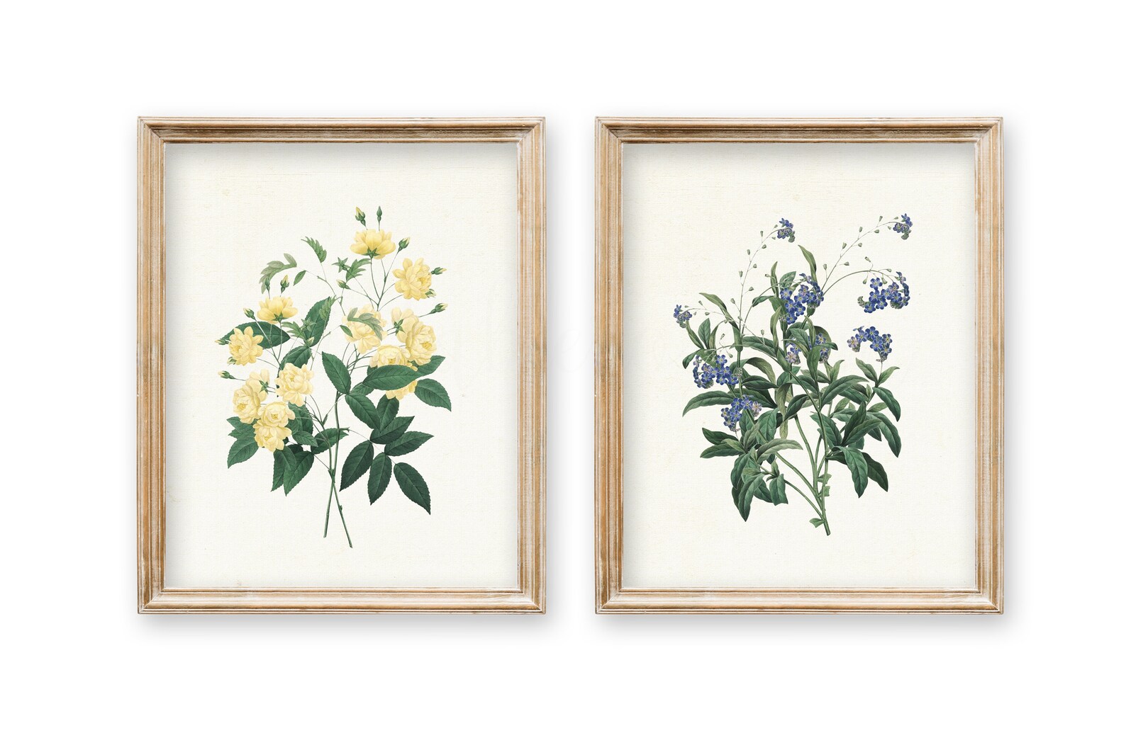 Set of 4 Vintage Botanical Printables Vintage Wall Art Wall - Etsy