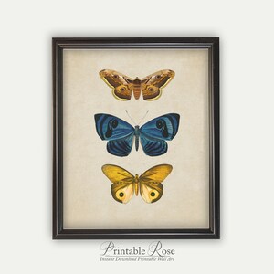 Vintage Butterfly Print, printable vintage wall art, blue home decor, blue wall art, bathroom wall decor, vintage home decor image 6