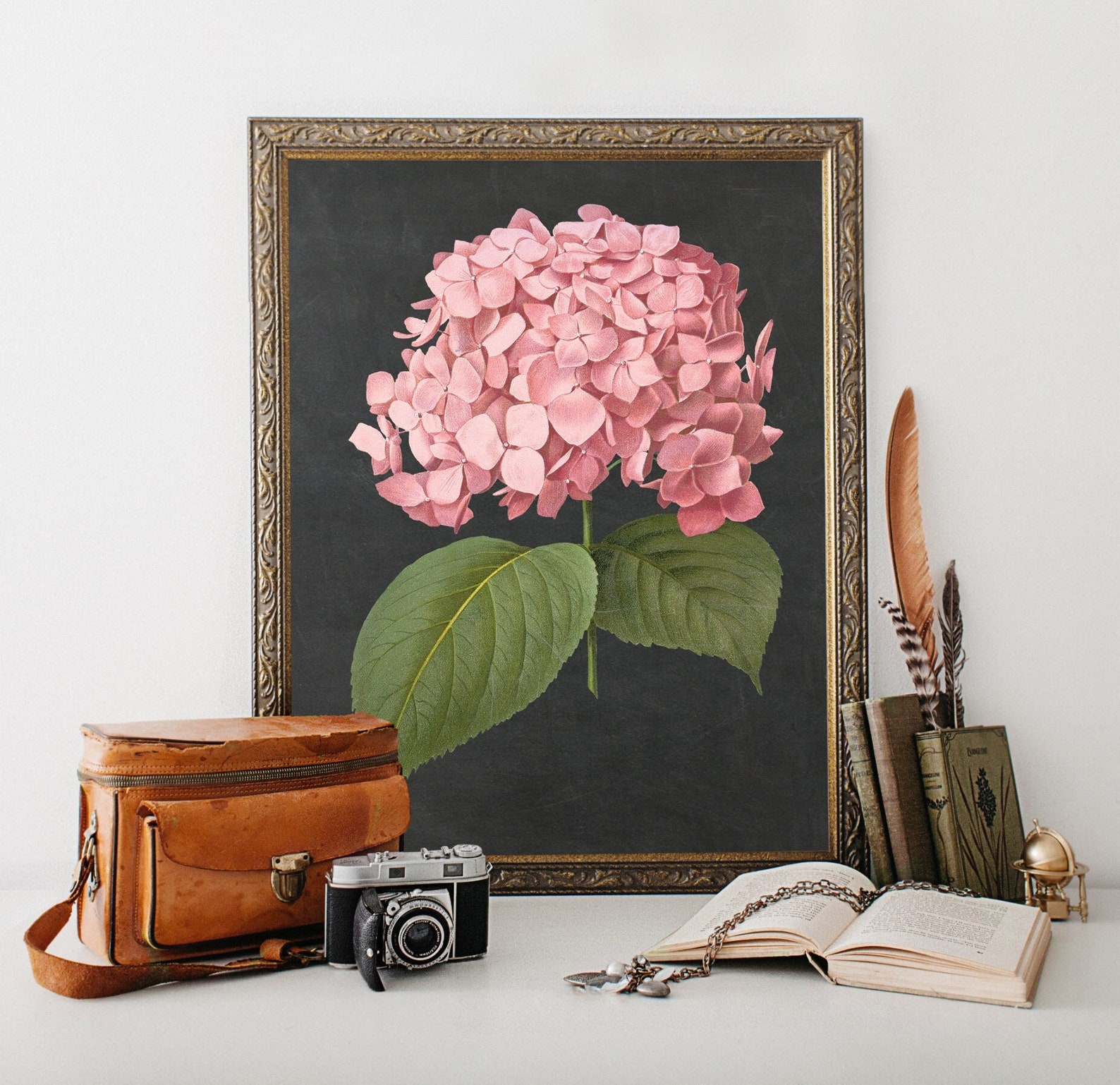 Pink Hydrangea Print Black Background Art Print Chalkboard - Etsy