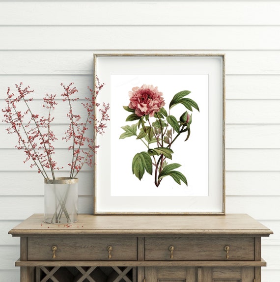 Vintage Rose Wall Art Burgundy Decor Art Print Rose Etsy