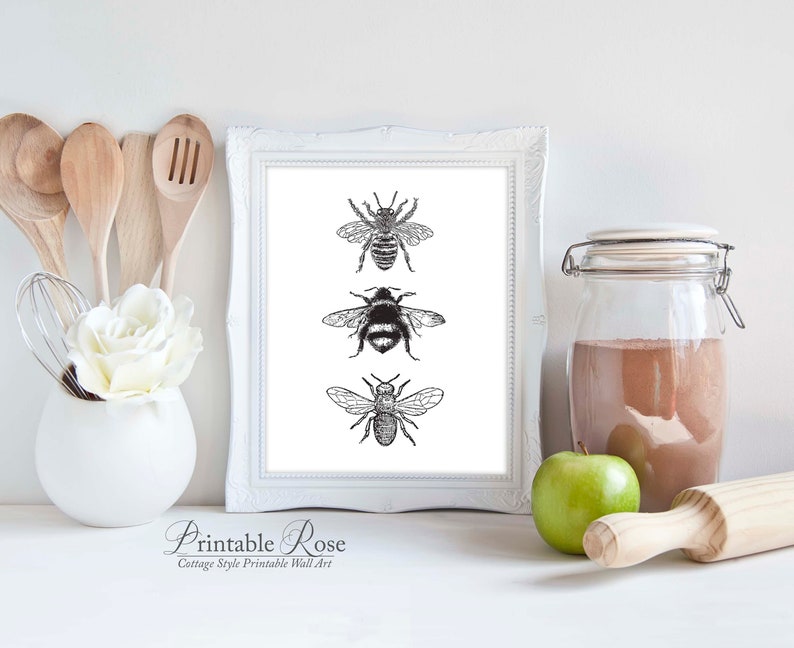 Bee Decor, printable, bee decorations, bee print, bee wall art, bee wall decor, art prints, wall art prints, vintage, wall art printable image 9