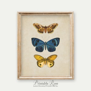 Vintage Butterfly Print, printable vintage wall art, blue home decor, blue wall art, bathroom wall decor, vintage home decor image 7