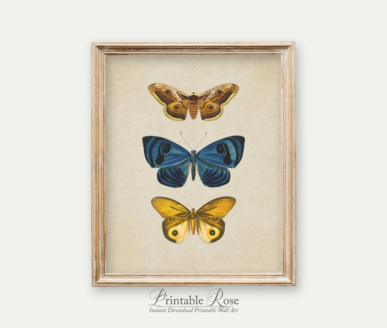 Vintage Butterfly Print, printable vintage wall art, blue home decor, blue wall art, bathroom wall decor, vintage home decor image 7