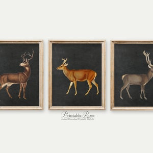Set of 3 Art Prints Deer Wall Art Digital Instant Download - Etsy