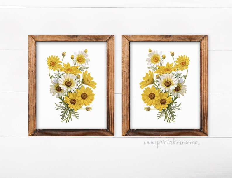 Daisy Decor Printable Art Wall Set Of 2 Prints Vintage Botanical Girls Room