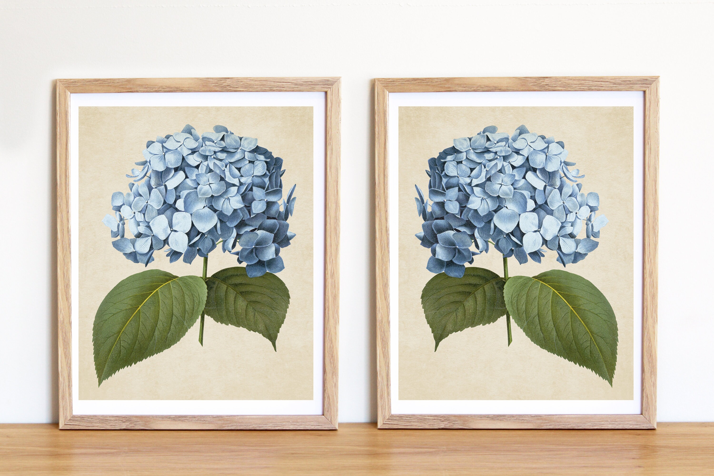 Vintage Hydrangea Prints Printables Set of 2 Prints Set of Etsy