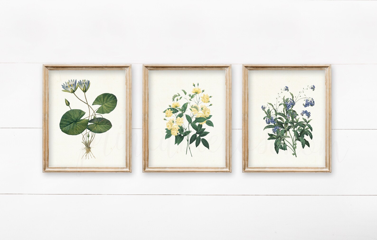 Set of 4 Vintage Botanical Printables Vintage Wall Art Wall - Etsy