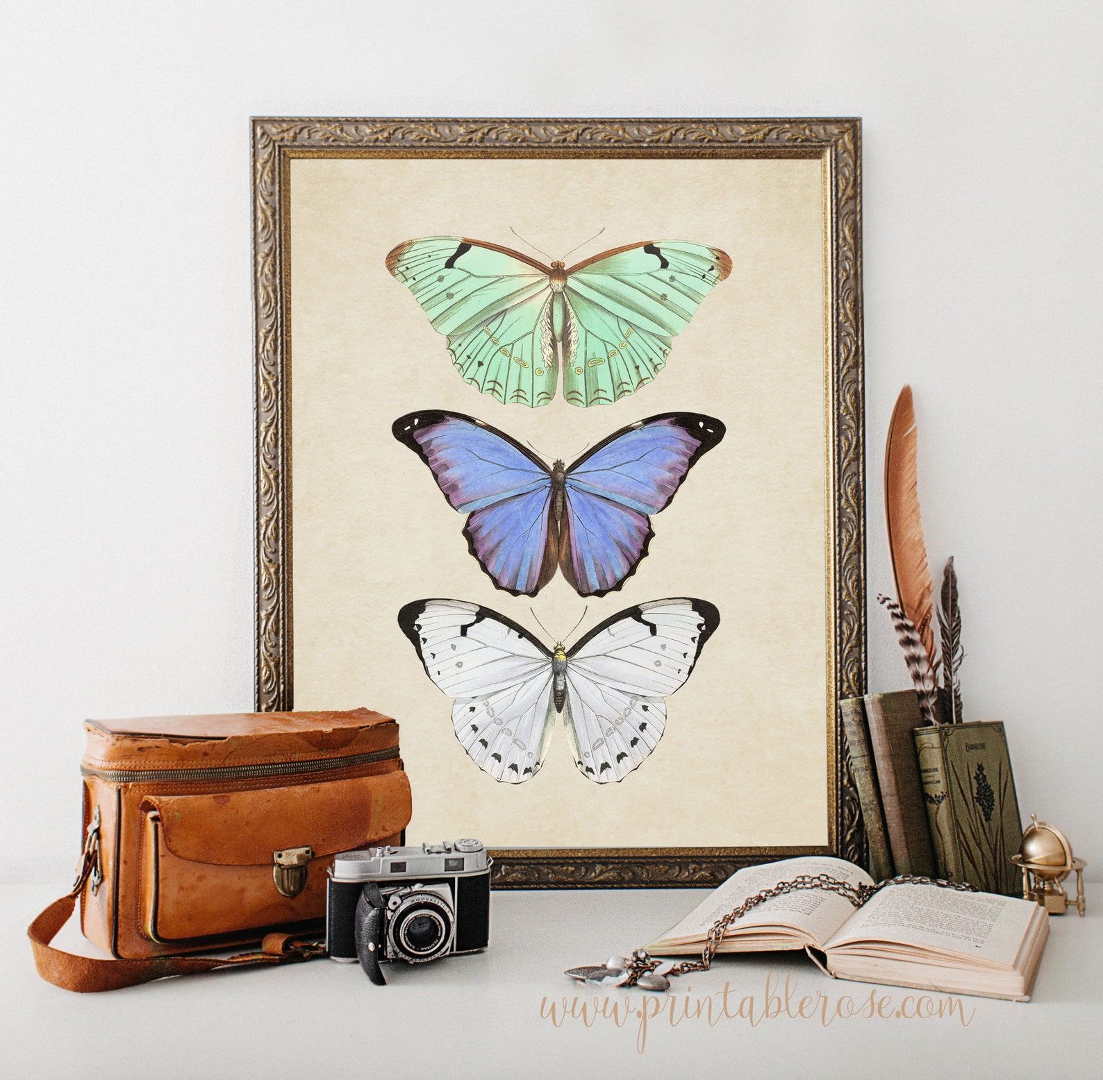 Butterfly Wall Art Printable Wall Art Butterfly Art | Etsy