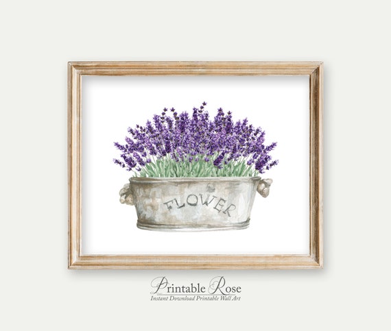 Lavender Printable, Lavender Decor, Lavender Print Wall Art, French Country  Bathroom Decor, Bathroom Signs, Bathroom Art Print, Decor Art 