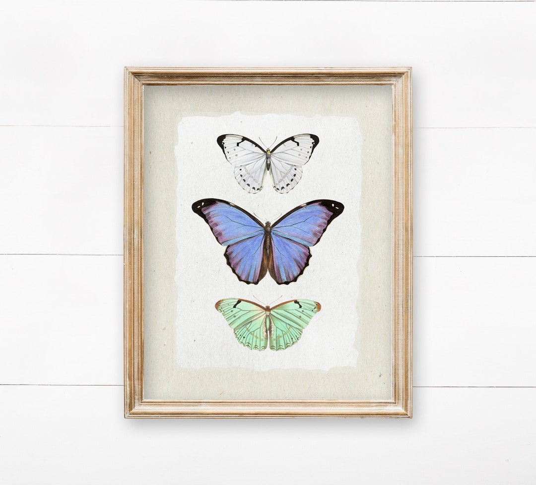 Butterfly Wall Art Printable Wall Art Butterfly Print - Etsy