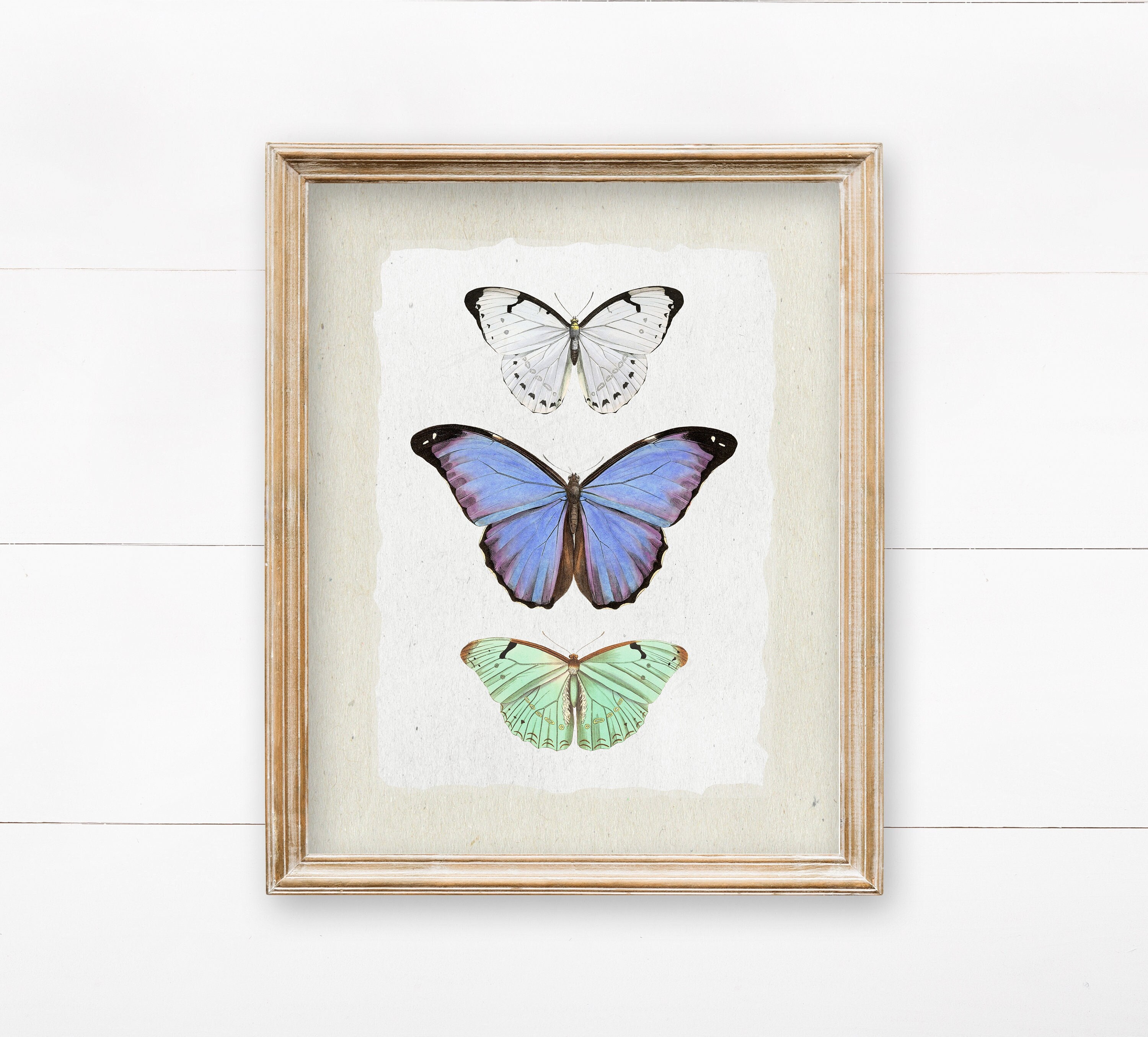 Butterfly Wall Art Printable Wall Art Butterfly Print - Etsy