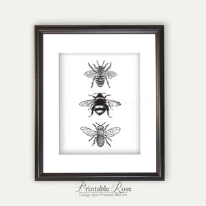 Bee Decor, printable, bee decorations, bee print, bee wall art, bee wall decor, art prints, wall art prints, vintage, wall art printable image 6